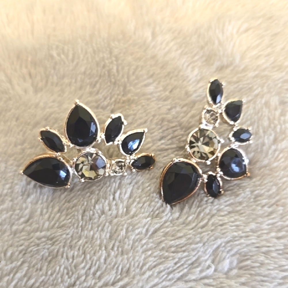 #116 Black and Silver Women's Earrings